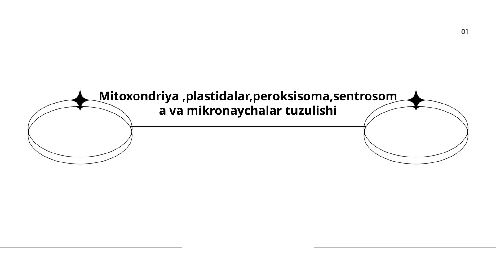 Mitoxondriyaning tuzilishi va funktsiyalari