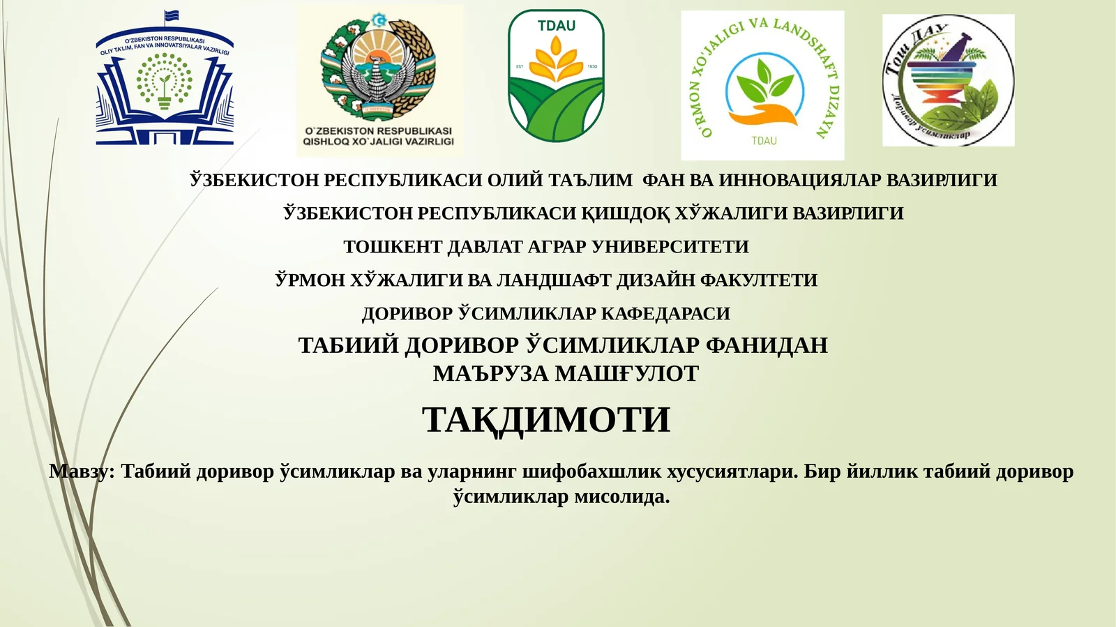 Табиий доривор ўсимликлар ва уларнинг шифобахшлик хусусиятлари. Бир йиллик табиий доривор ўсимликлар мисолида.