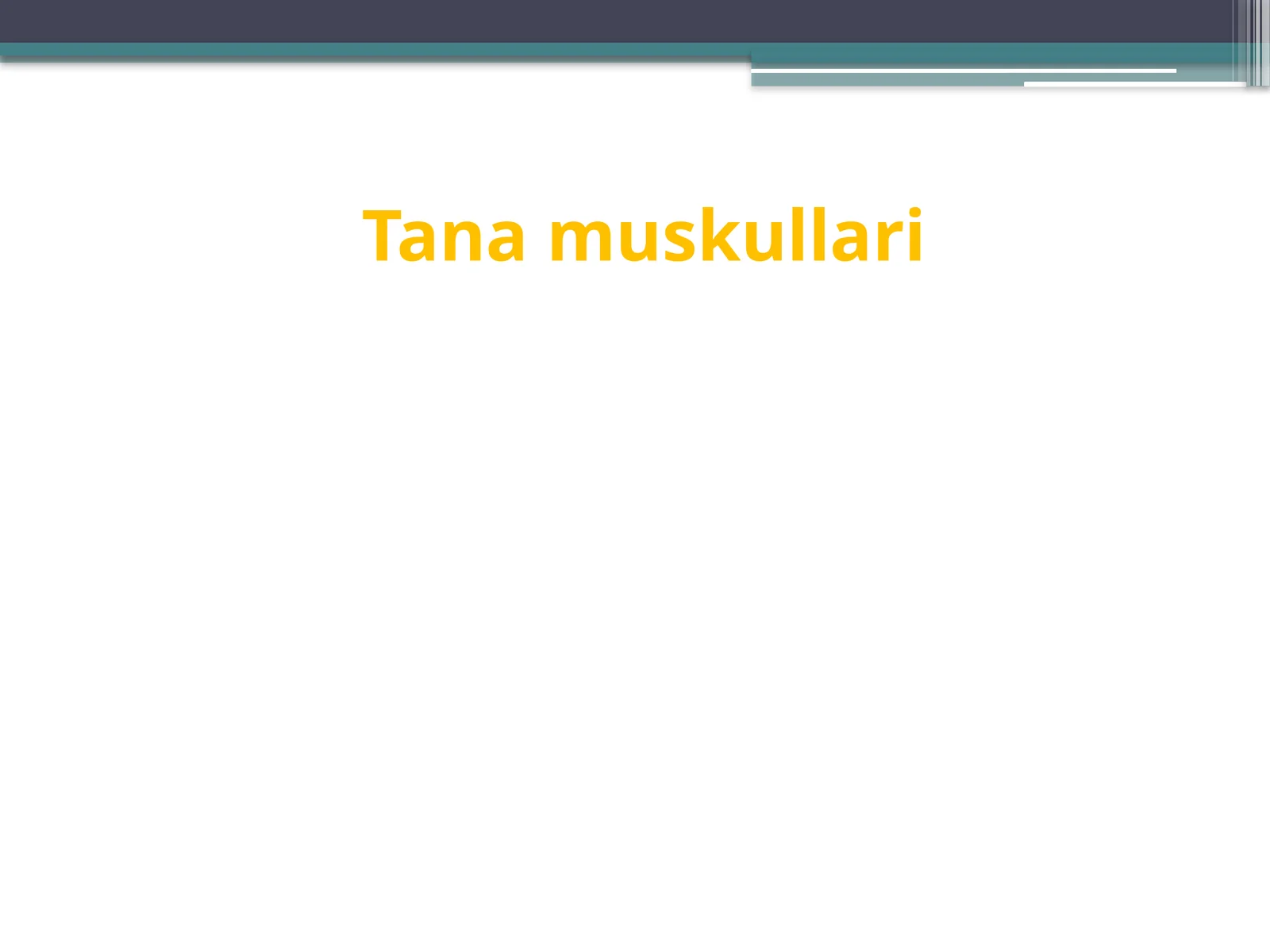 Tanamuskullari