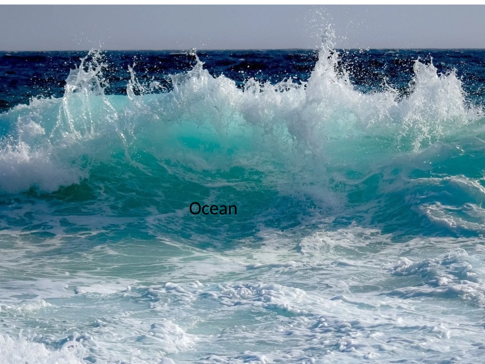 Ocean