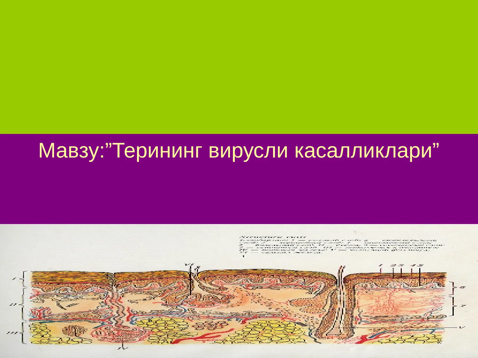 Терининг вирусли касалликлари