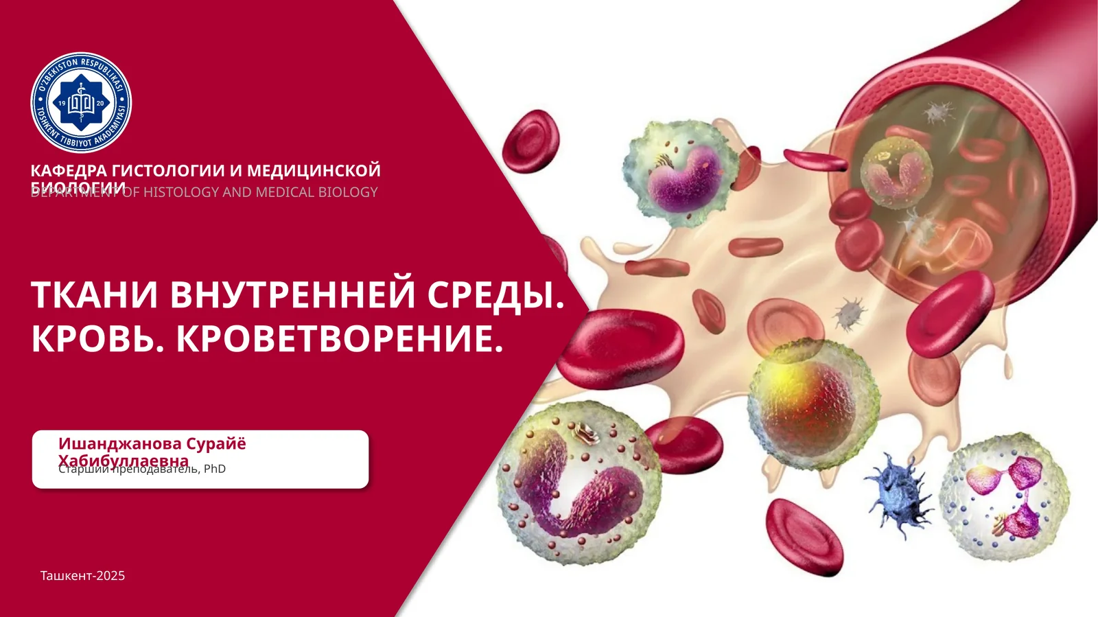 ТКАНИ ВНУТРЕННЕЙ СРЕДЫ.КРОВЬ.КРОВЕТВОРЕНИЕ