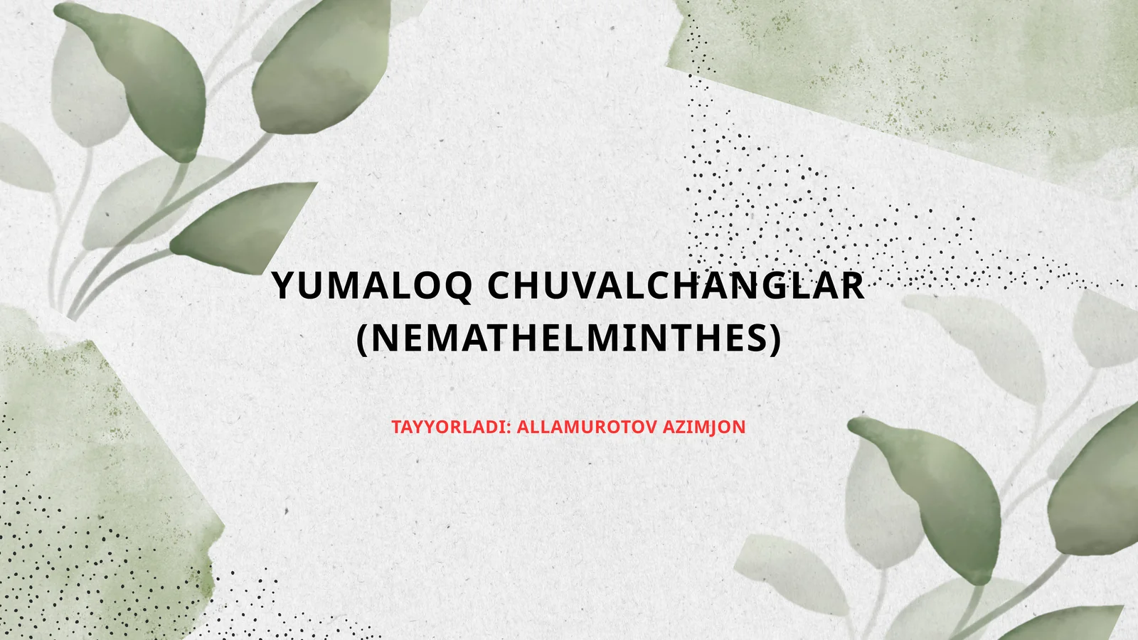 Yassi chuvalchanglar – odam parazitlari - so‘rg‘ichlilar jigar qurti, mushuk so‘rg‘ichi, lansetsimon so‘rg‘ich, o‘pka so‘rg‘ichi, shistosomalar (qon qurtlari).