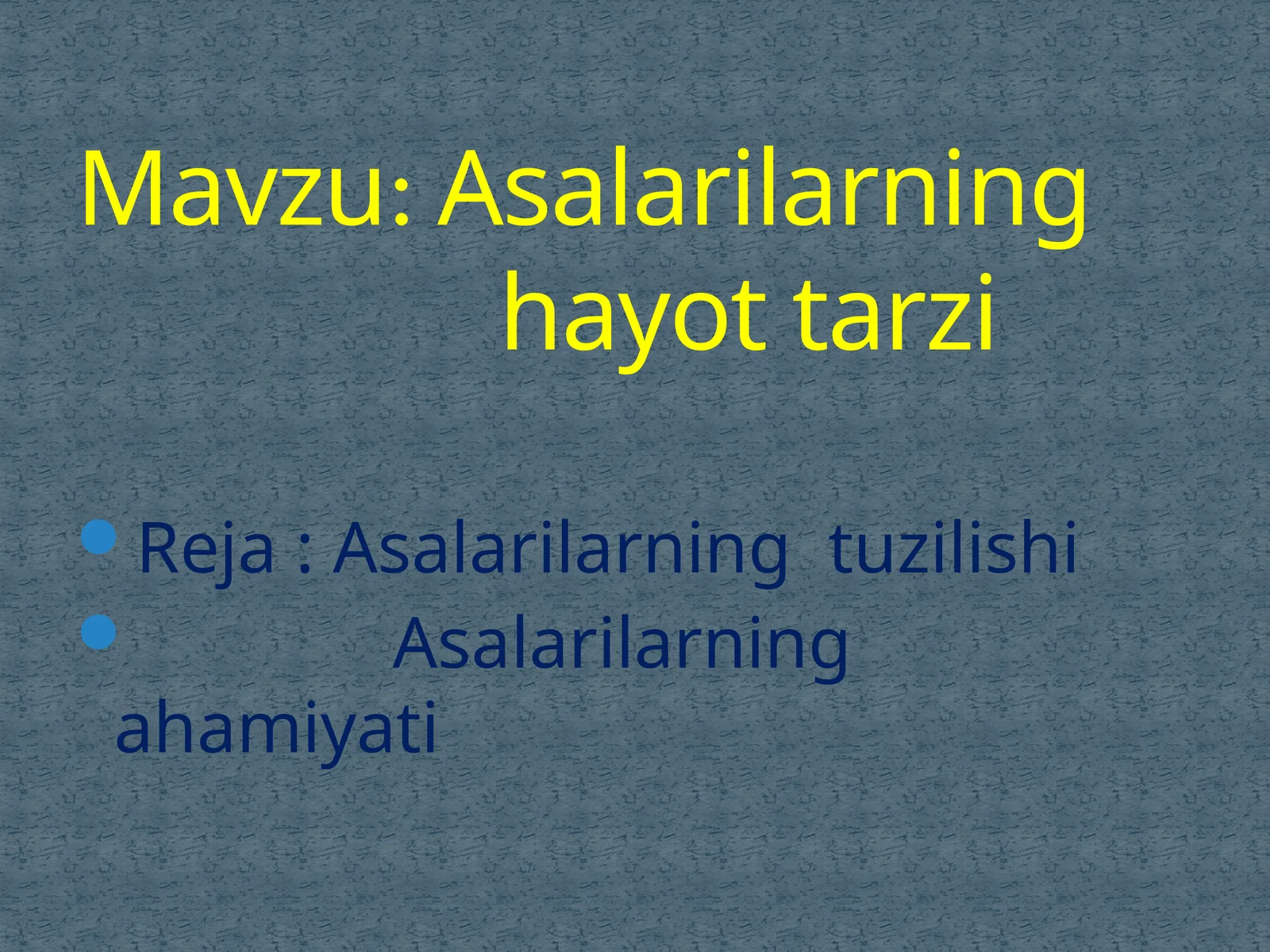 Asalarilarning hayot tarzi