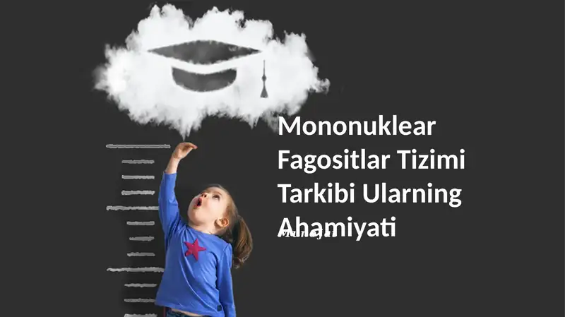 Mononuklear Fagositlar Tizimi Tarkibi