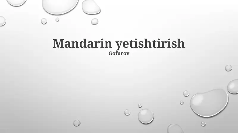 Mandarin yetishtirish