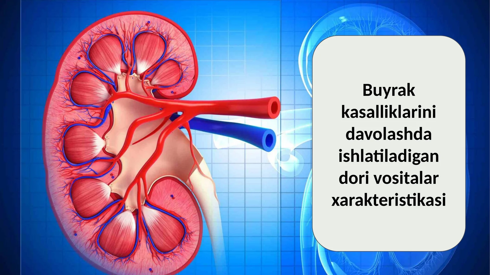 Buyrak kasalliklarini davolashda ishlatiladigan dori vositalar xarakteristikasi