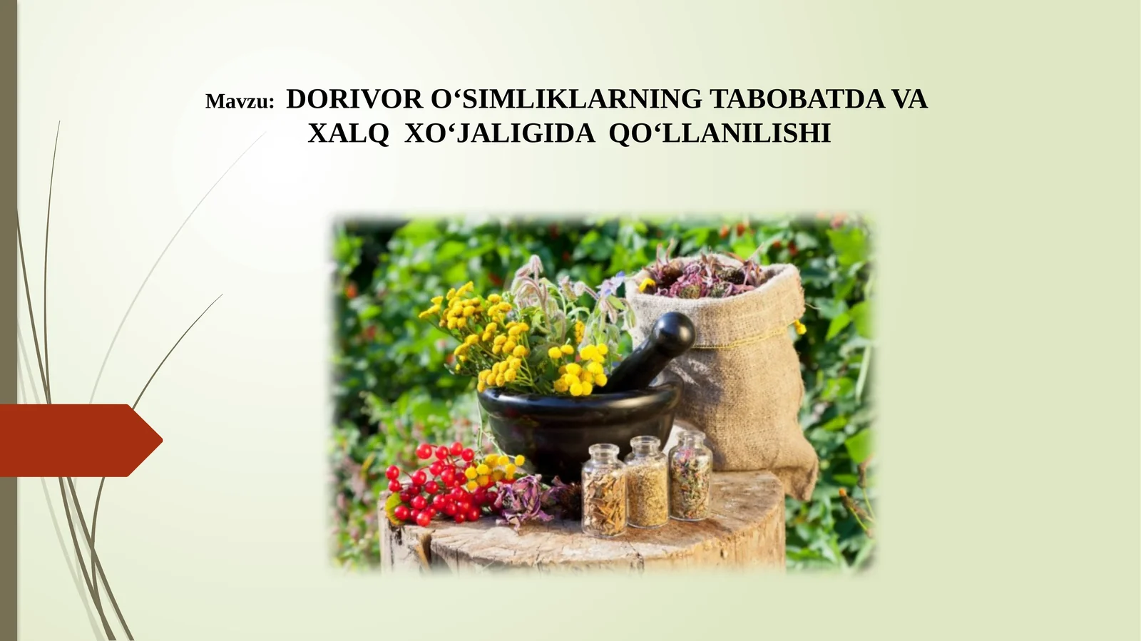 DORIVOR O‘SIMLIKLARNING TABOBATDA VA XALQ XO‘JALIGIDA QO‘LLANILISHI