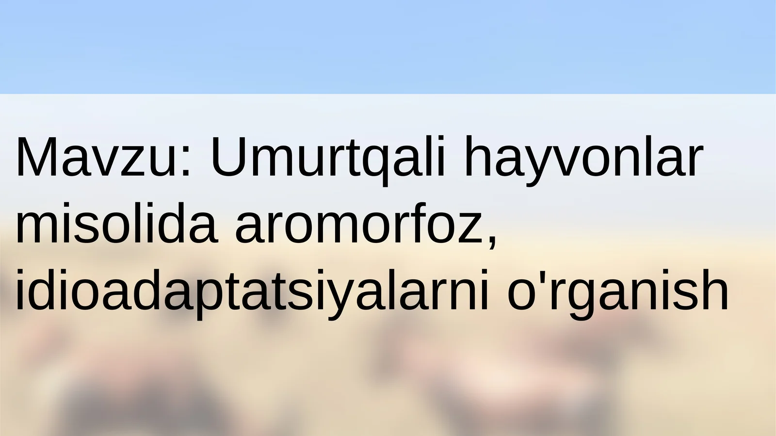 Umurtqali hayvonlarda aromorfoz va idioadaptatsiya