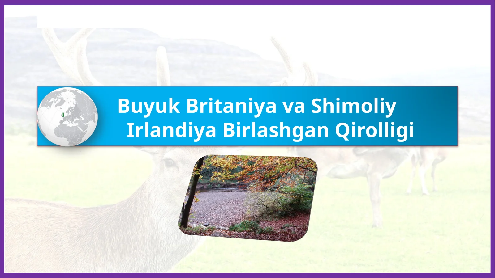 BuyukBritaniyavaShimoliyIrlandiyaBirlashganQirolligi