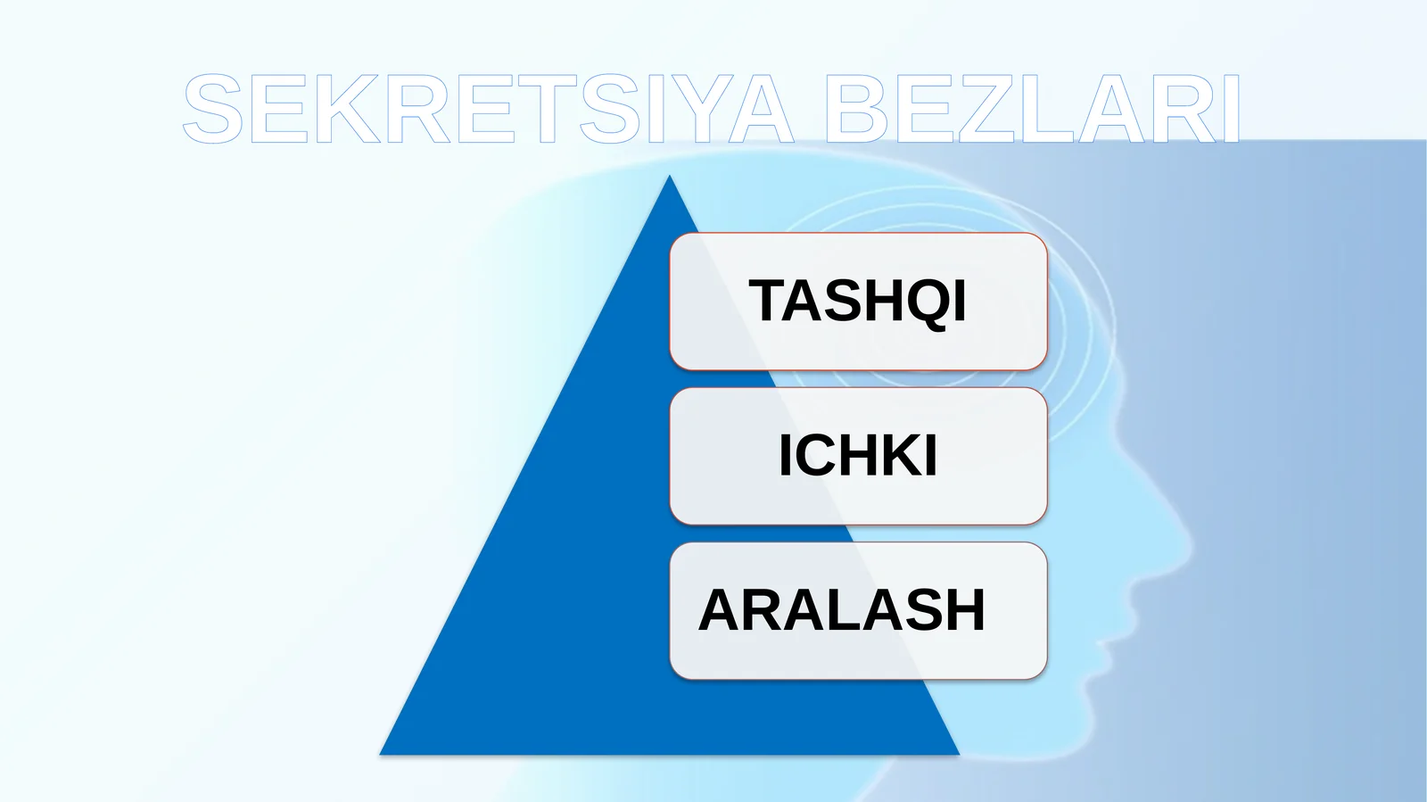 TASHQI SEKRETSIYA BEZLARI
