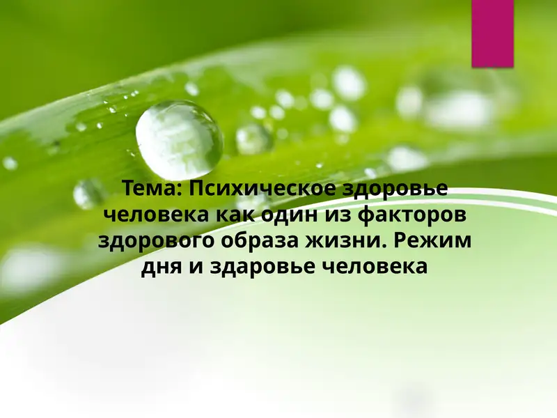 Психическое здоровье человека как один из факторов здорового образа жизни. Режим дня и здаровье человека