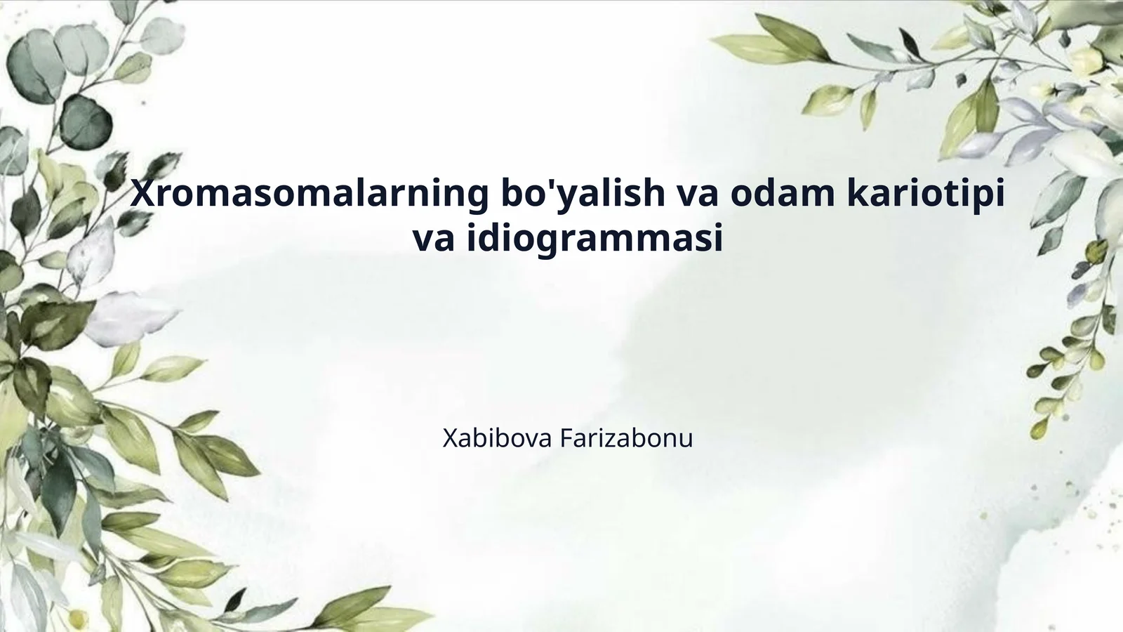 Xromasomalarning bo'yalish va odam kariotipi va idiogrammasi