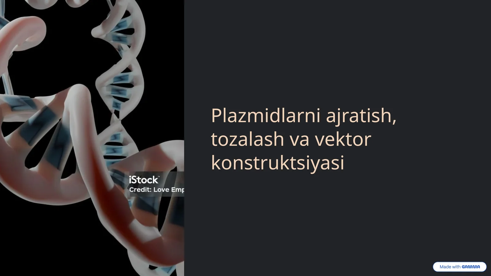 Plazmidlarni ajratish, tozalash va vektor konstruktsiyasi