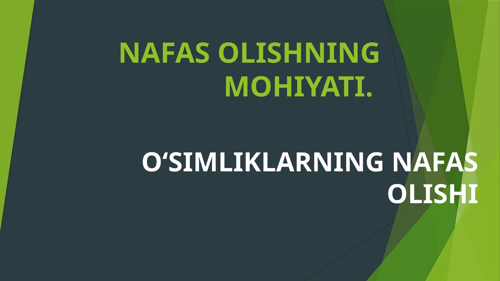 O‘SIMLIKLARNING NAFAS OLISHI