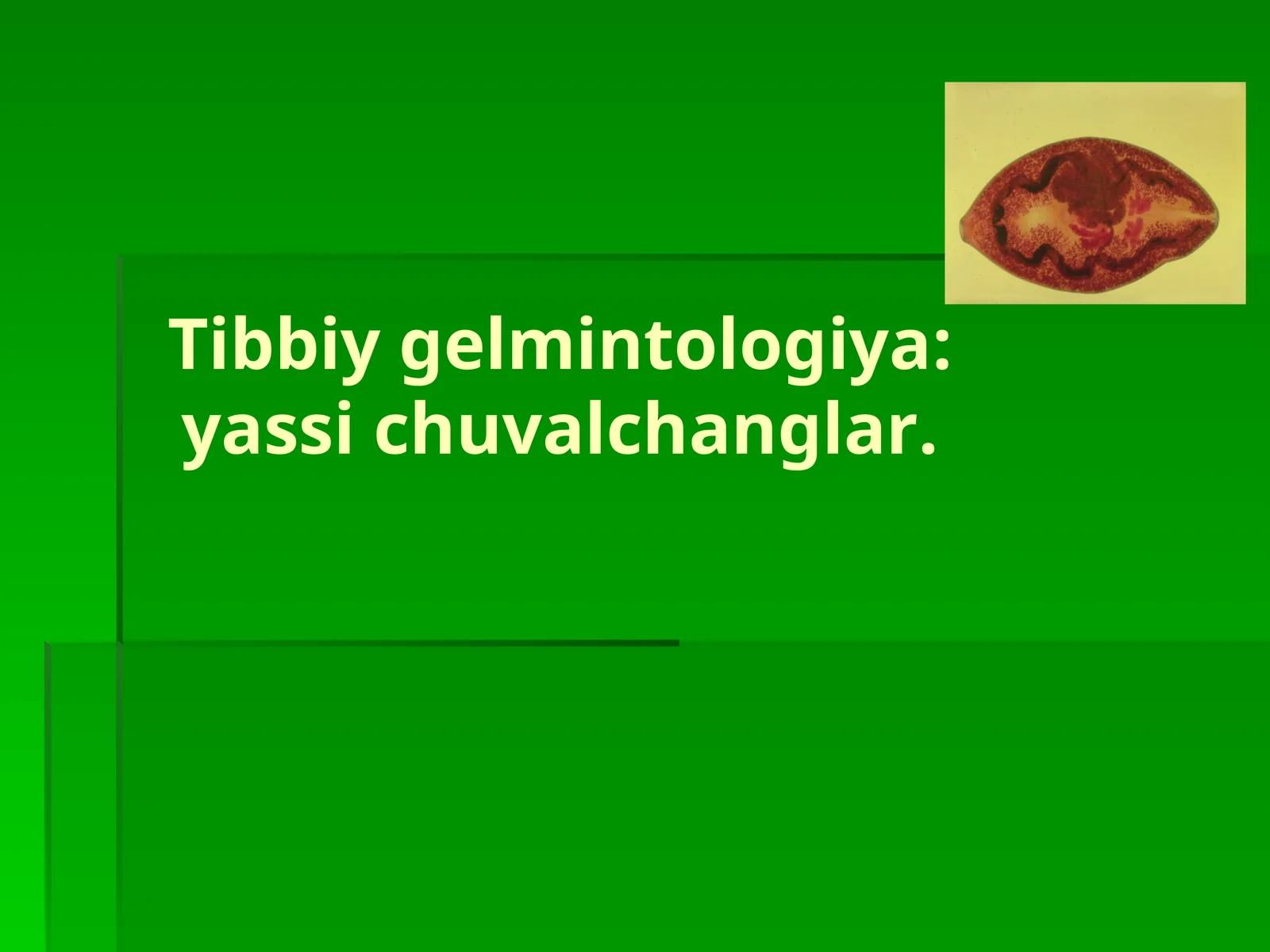 Tibbiy gelmintologiya:yassi chuvalchanglar