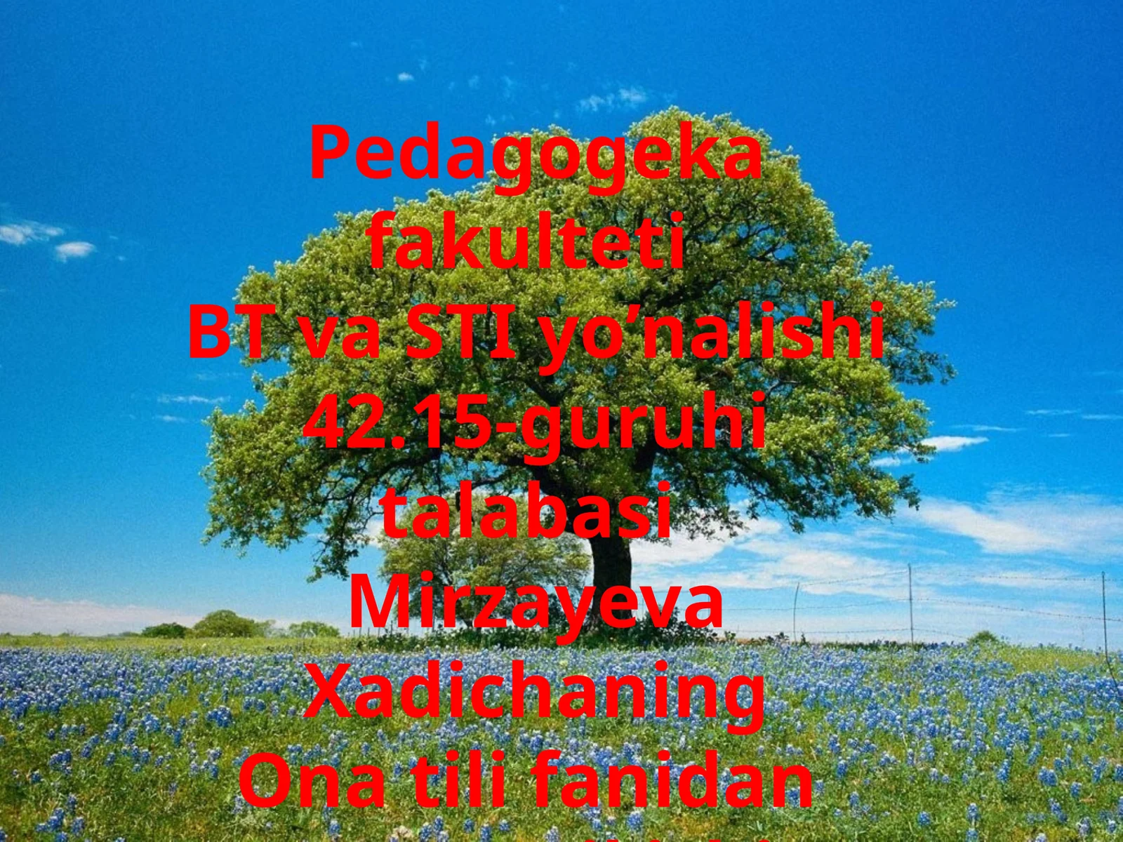 O’zbektilileksikasiningtarixiytaraqqiyoti