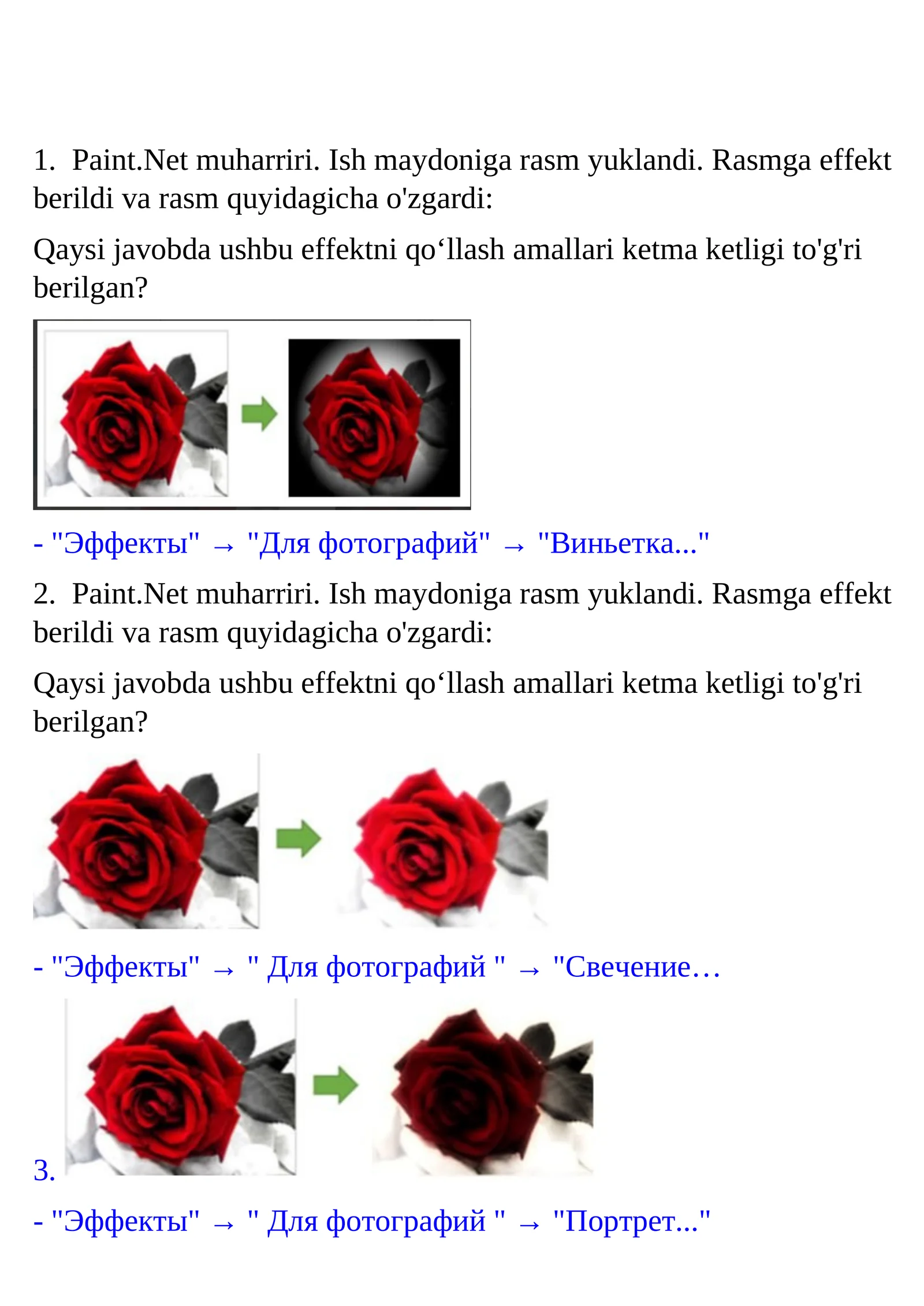 Paint.Net muharriri