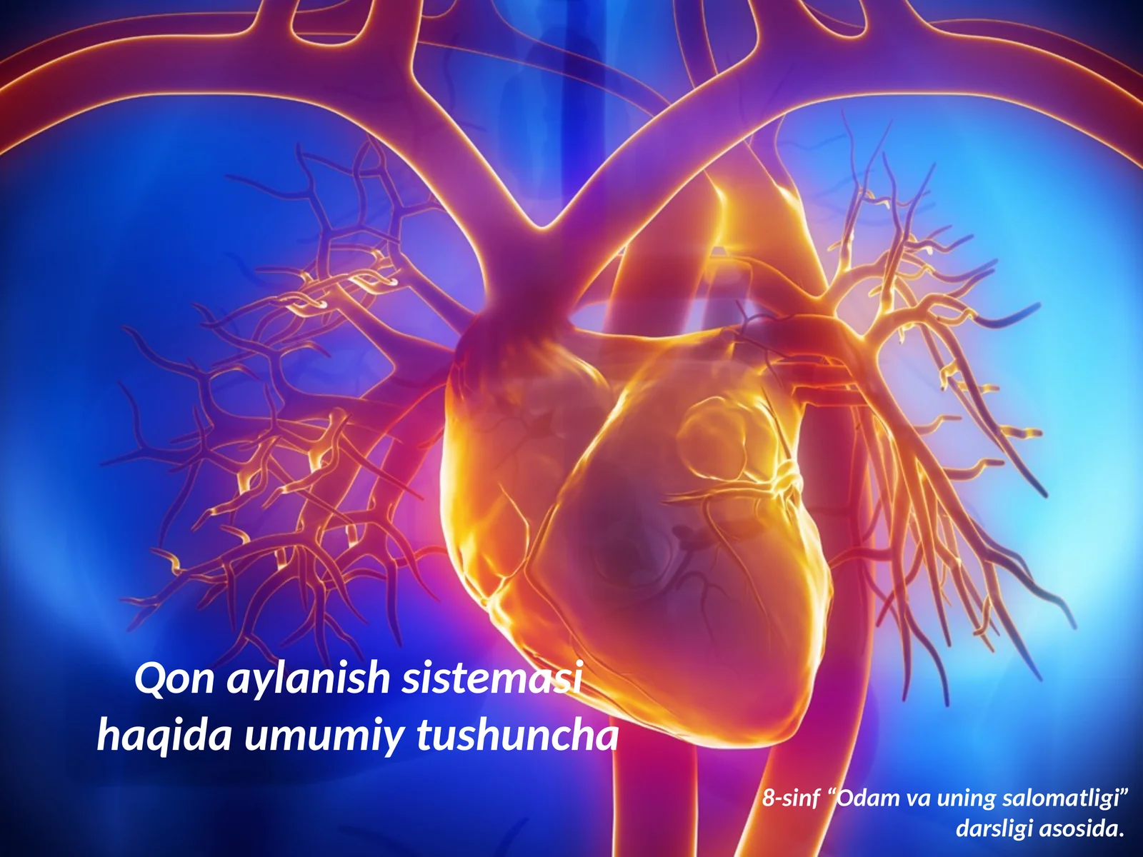 Qonaylanish sistemasi haqida umumiy tushuncha