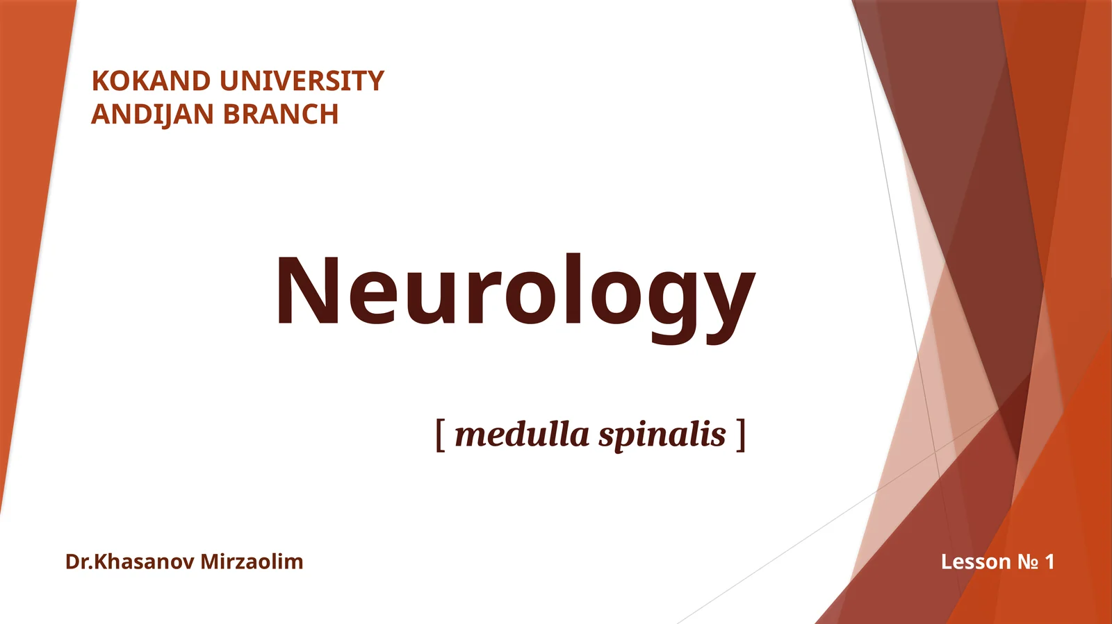 NERV TIZIMI ORQA MIYA–medullaspinalis