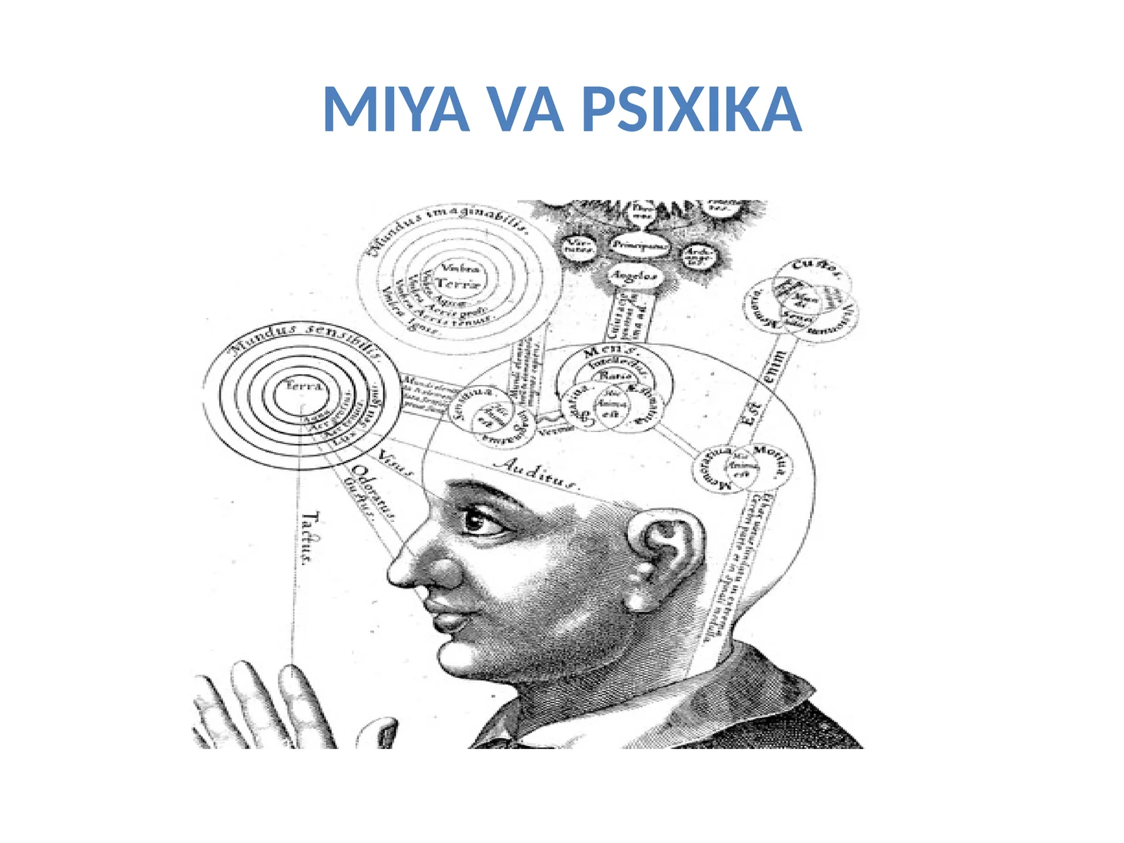 MIYA VA PSIXIKA