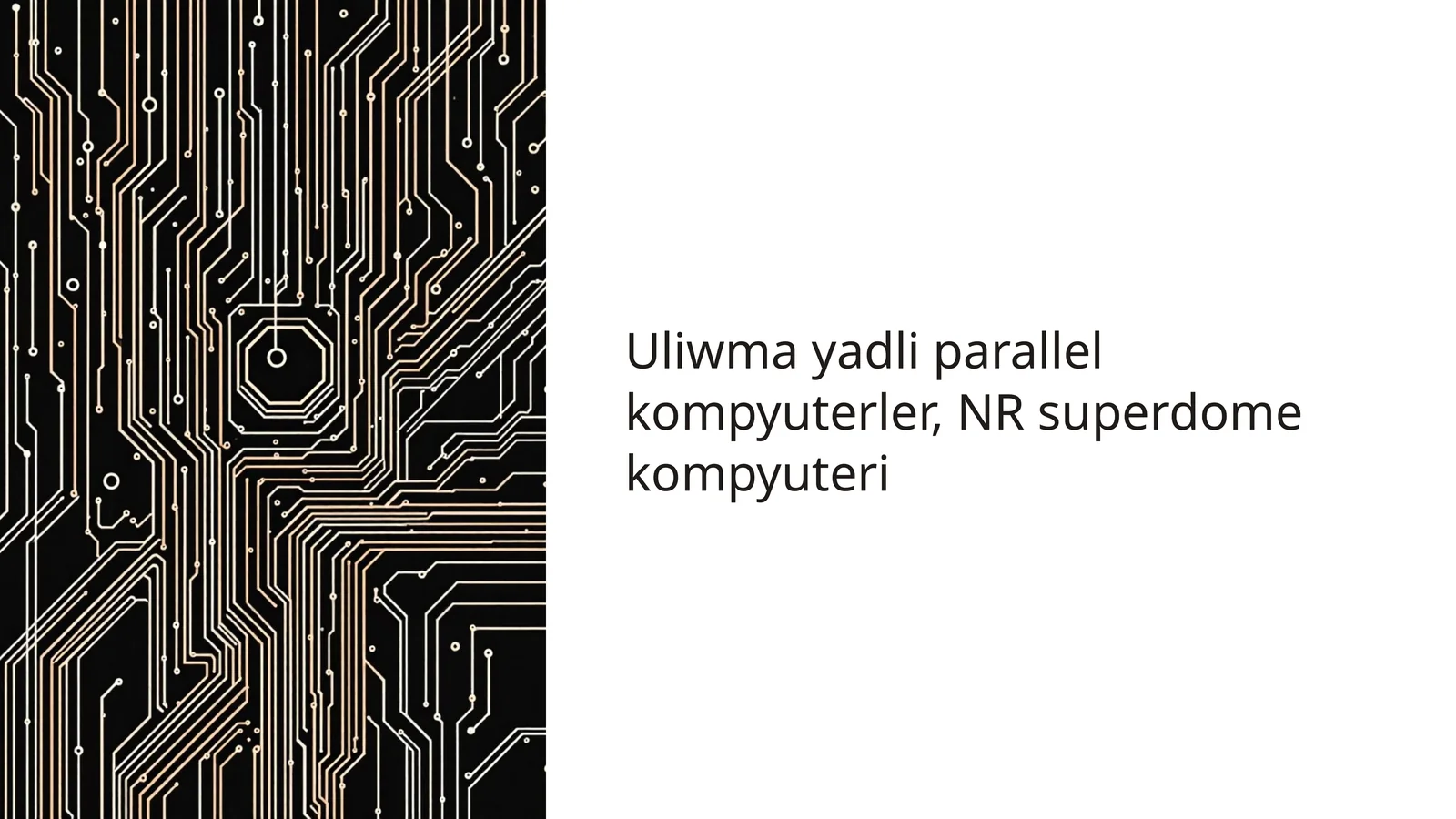 Uliwma yadli parallel kompyuterler, NR superdome kompyuteri