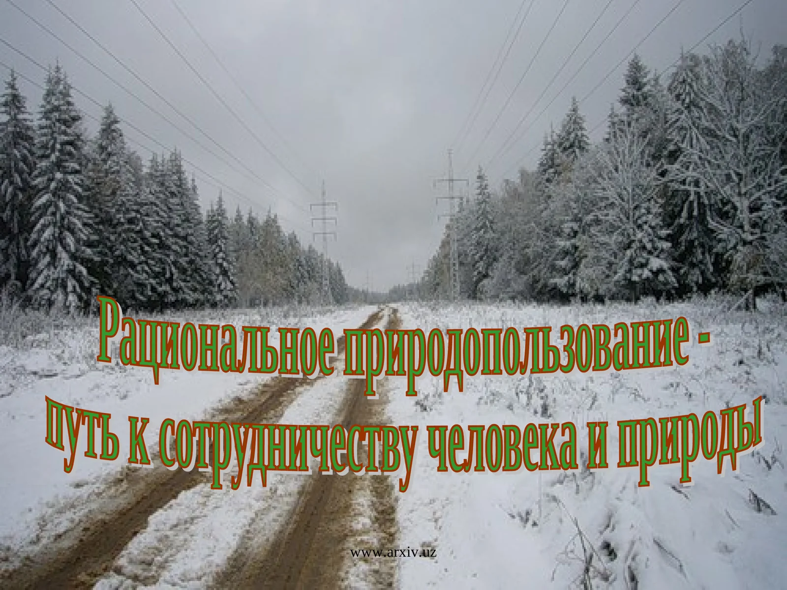 Рациональное природопользование - путь к сотрудничеству человека и природы