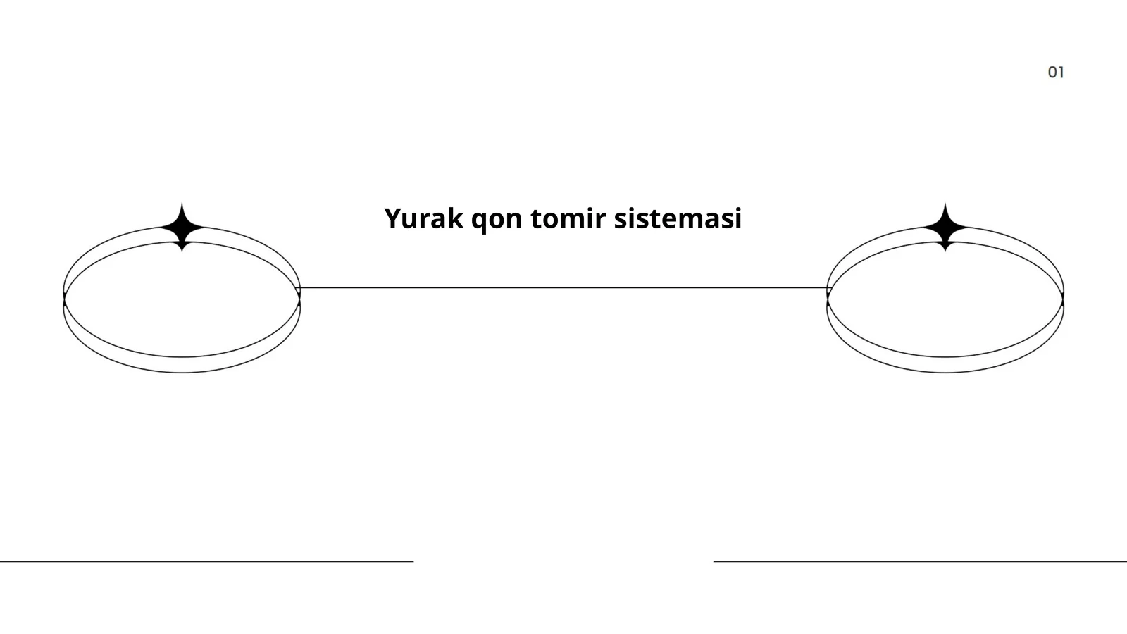 Yurak qon tomir sistemasi