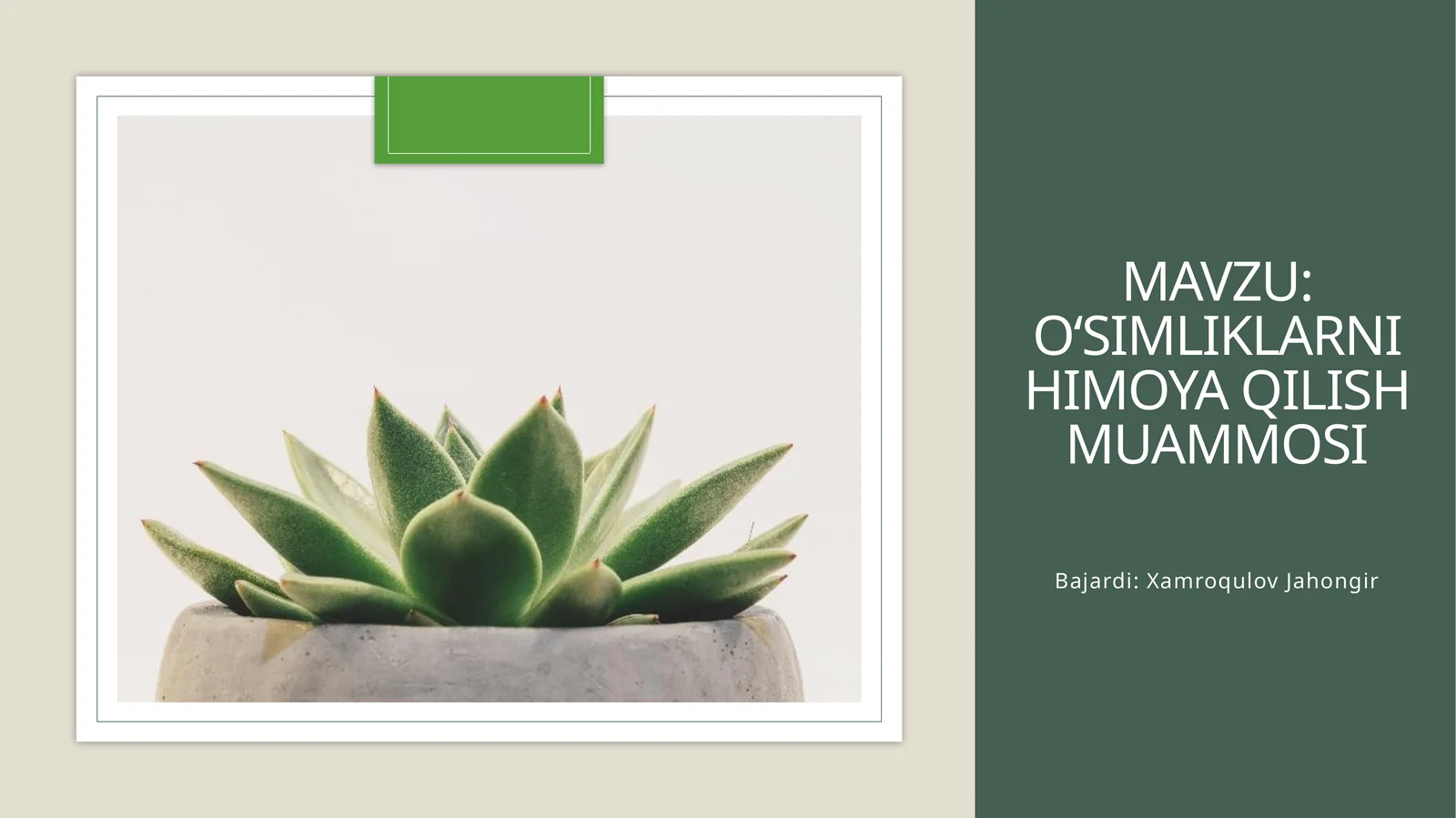 O‘simliklarni himoya qilish muammosi