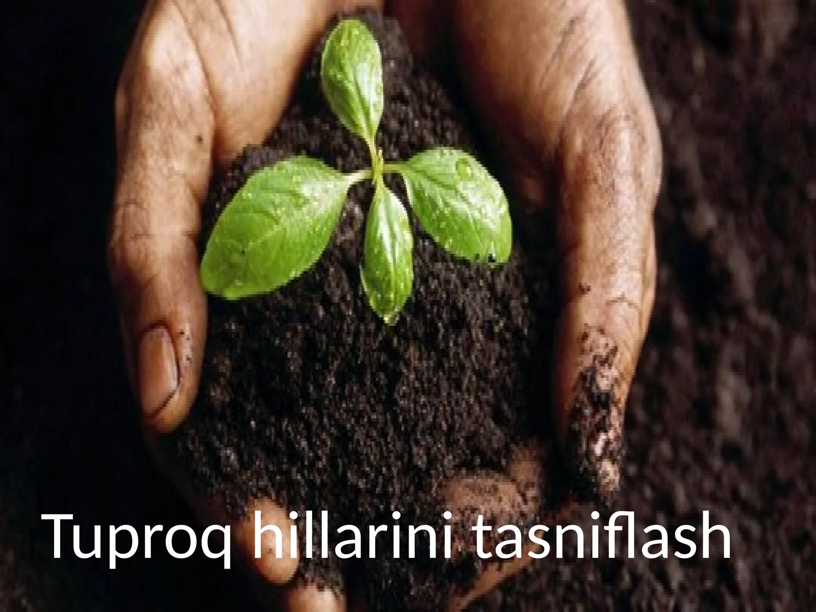 Tuproqhillarinitasniflash