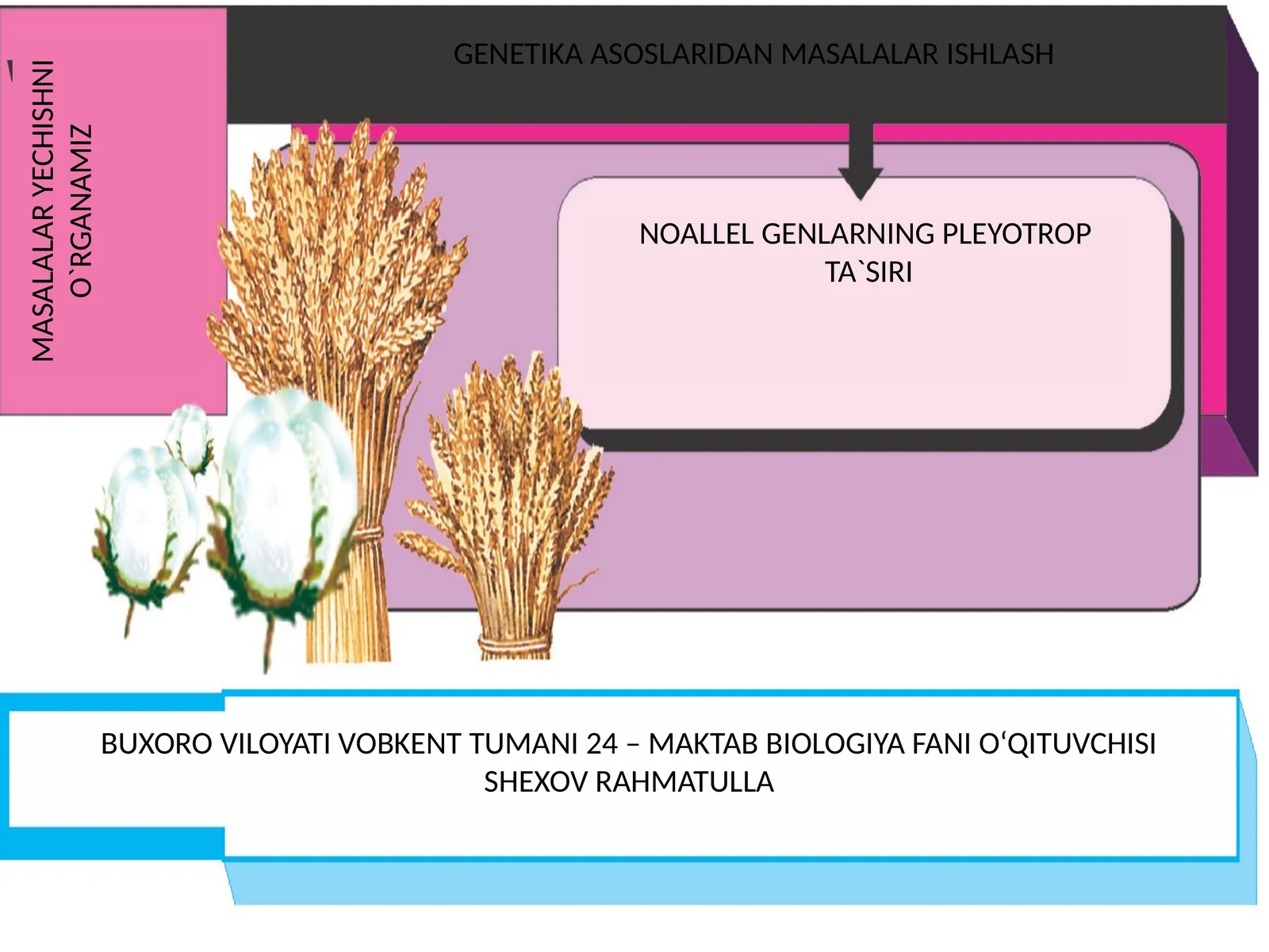 NOALLEL GENLARNING PLEYOTROP TA'SIRI