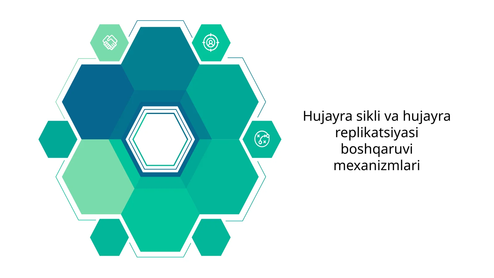 Hujayra sikli va hujayra replikatsiyasi boshqaruvi mexanizmlari