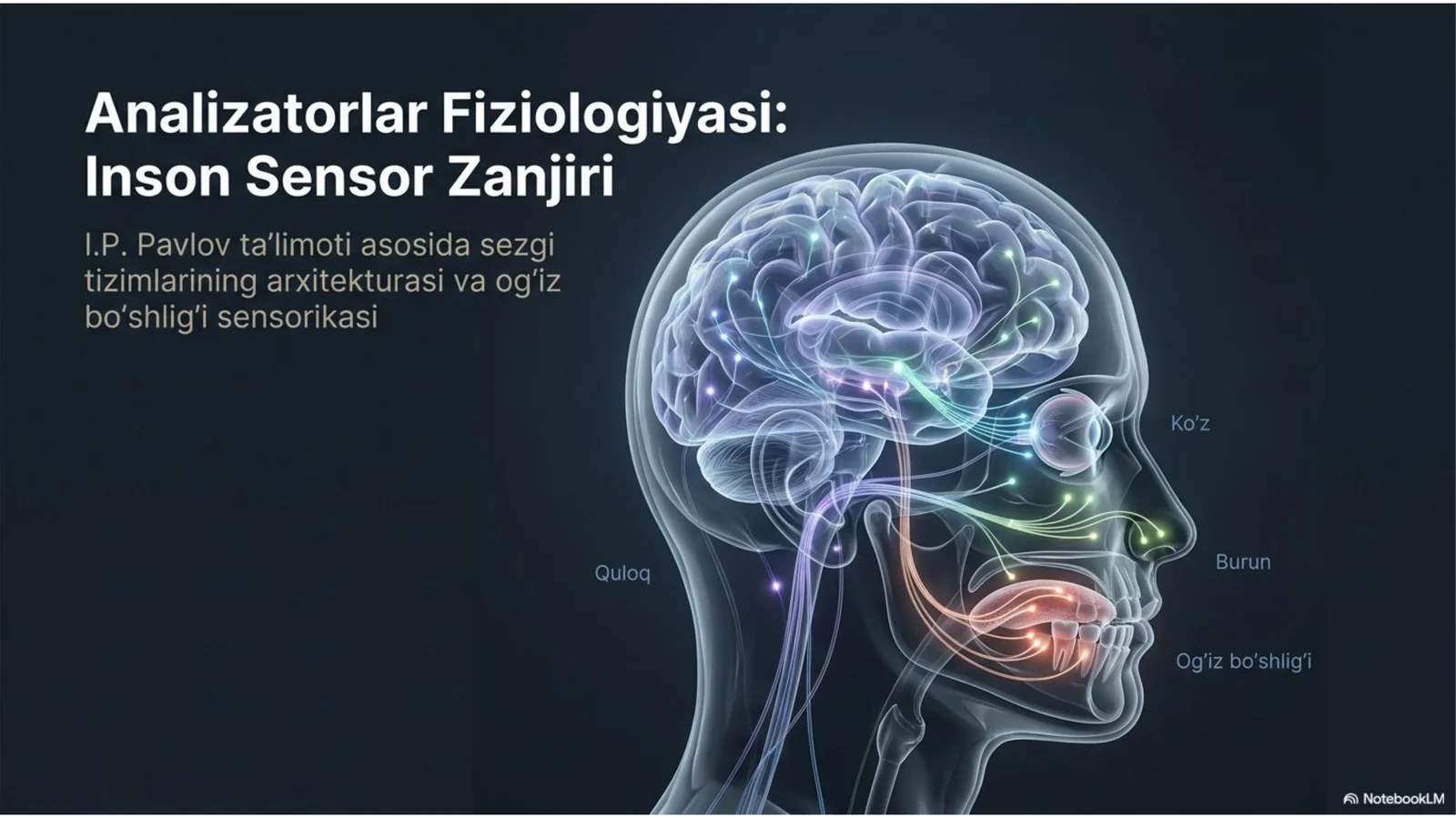 Odam sensor sistemisi