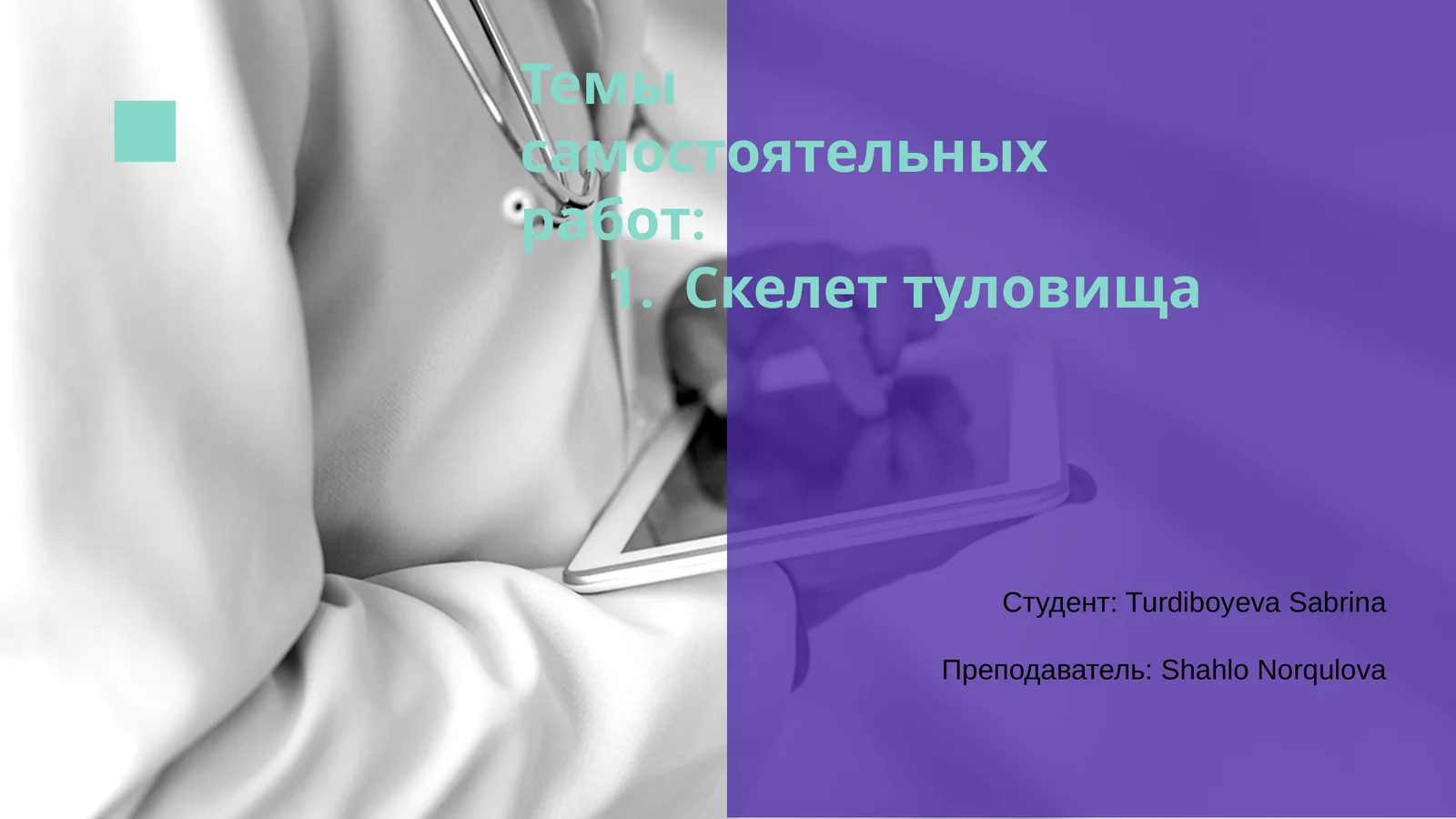 Скелет туловища