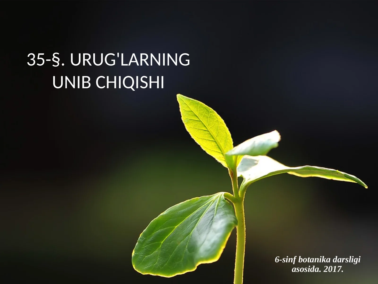 6-sinf Botanika Urug'larning unib chiqishi