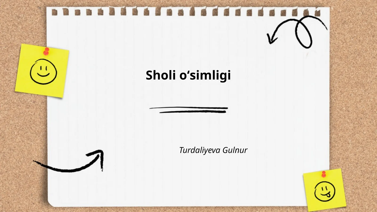 Sholi oʻsimligi
