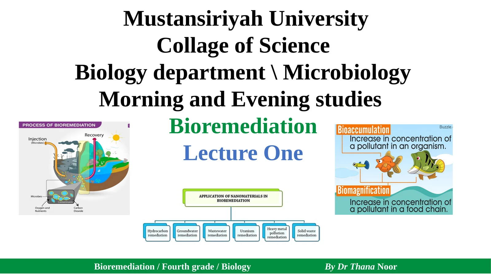 Bioremediation