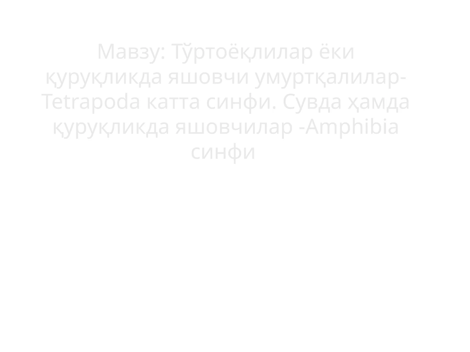 Тўртоёқлилар ёки қуруқликда яшовчи умуртқалилар-Tetrapoda катта синфи