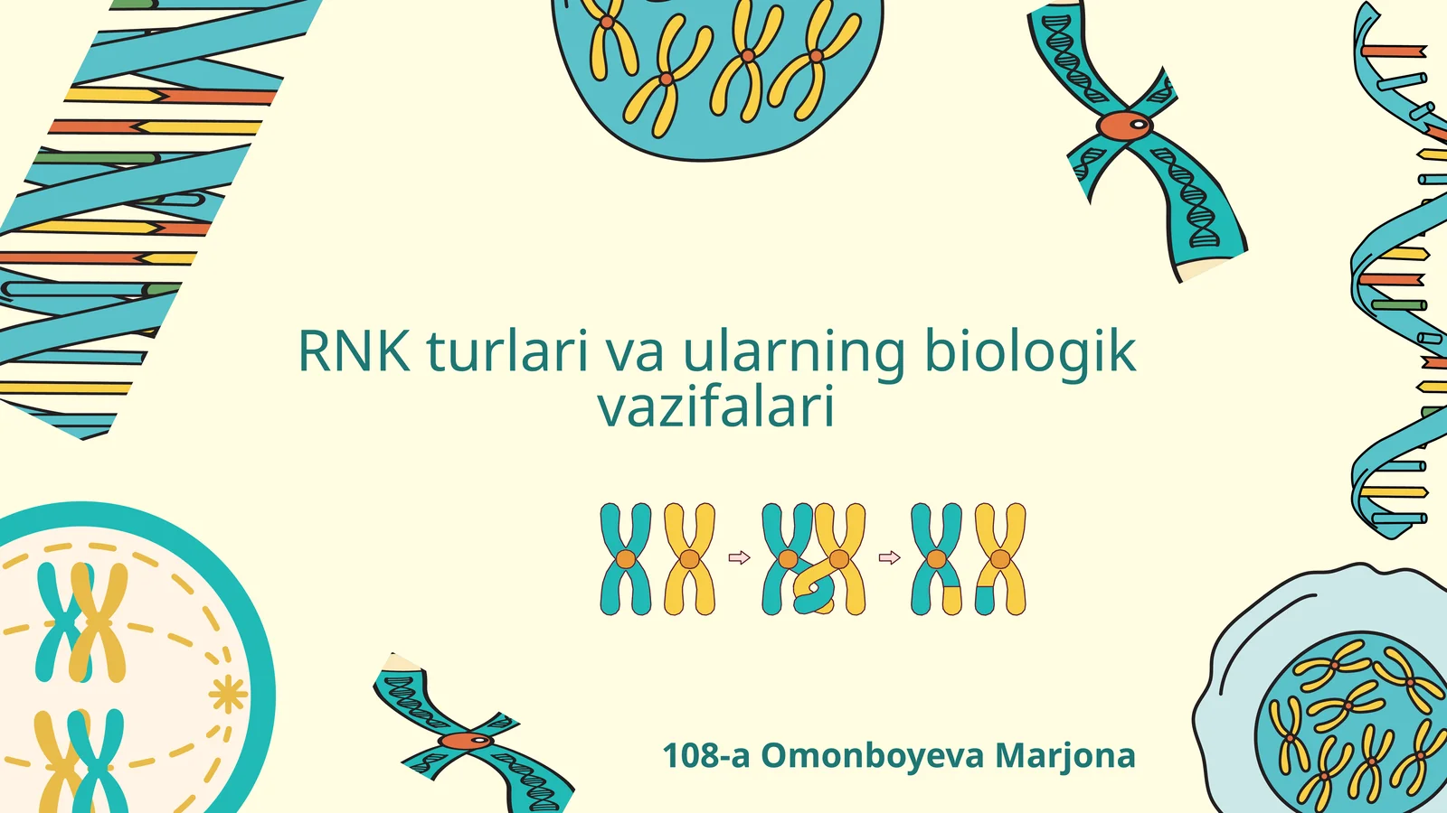 RNK tuzilishi va ahamiyati