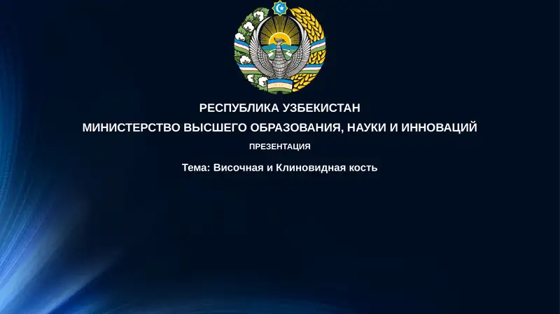 Презентация Височная и Клиновидная кость