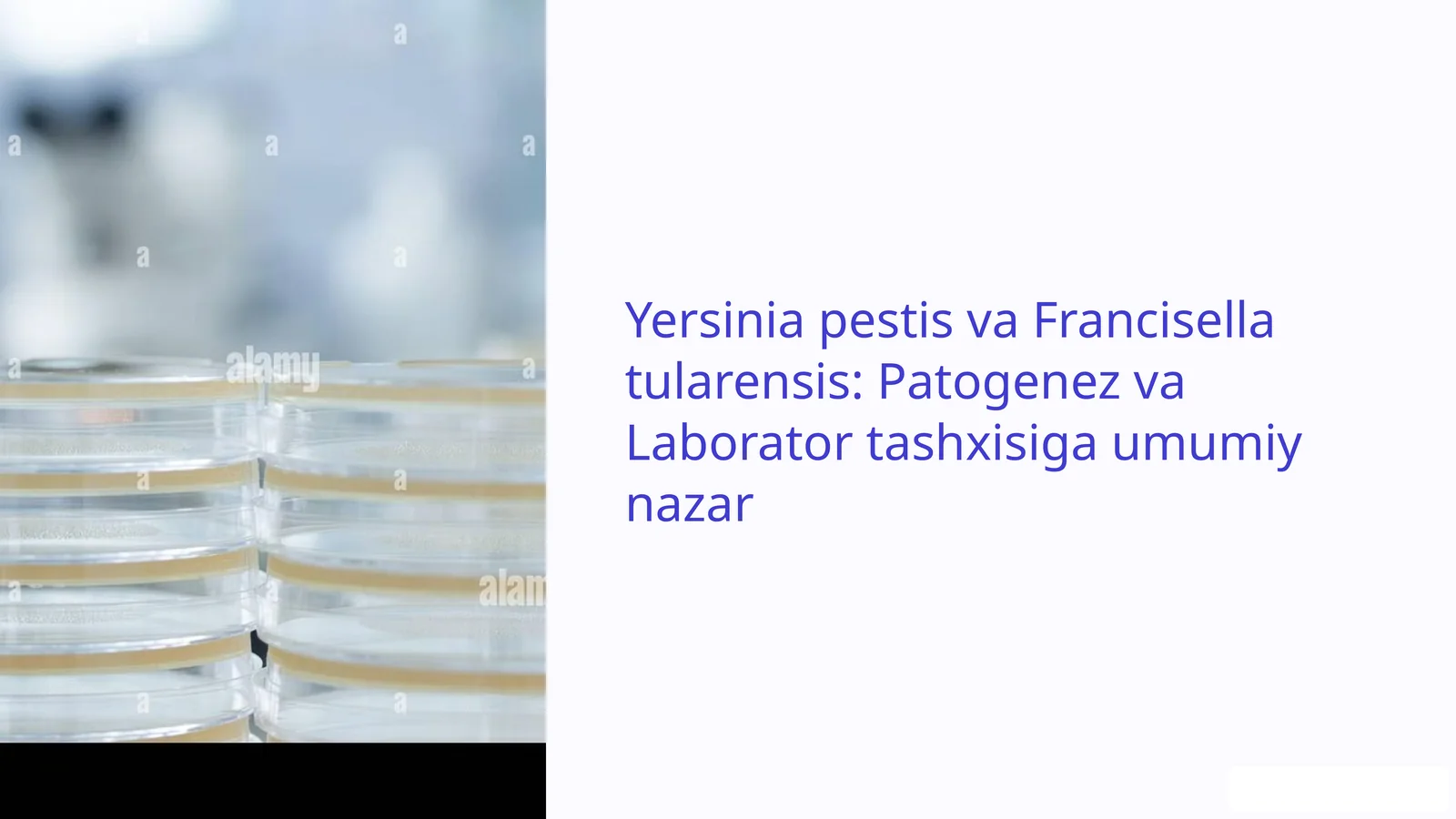 Yersinia pestis va Francisella tularensis: Patogenez va Laborator tashxisiga umumiy nazar