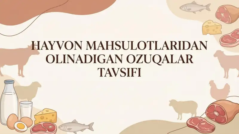 Hayvon mahsulotlaridan olinadigan ozuqalar tavsifi