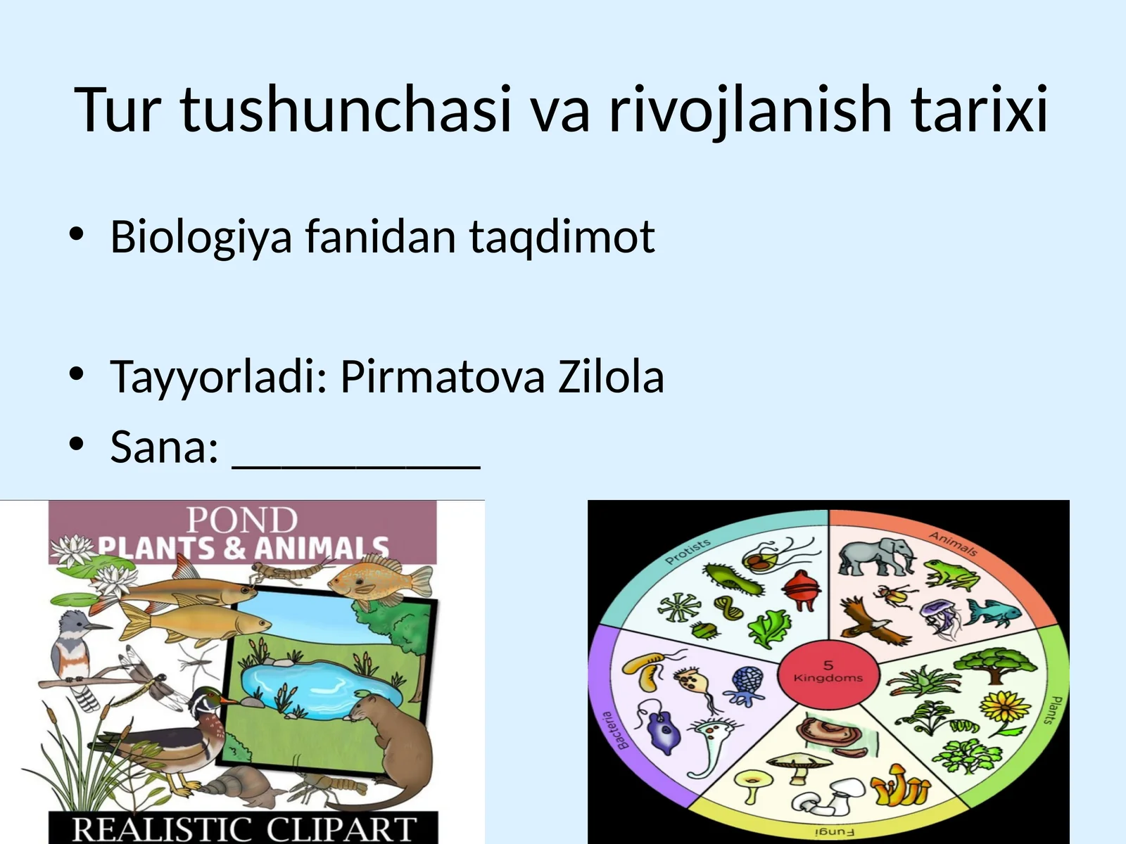 Tur tushunchasi va rivojlanish tarixi
