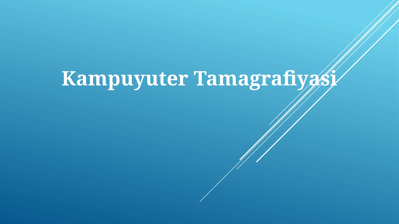 Kampuyuter Tamagrafiyasi