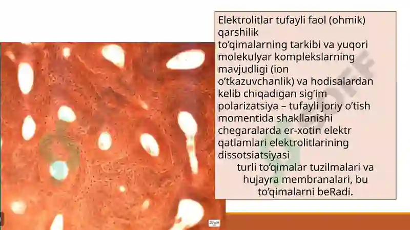 Organizmtoʻqimalarining elekttokiga impedansi