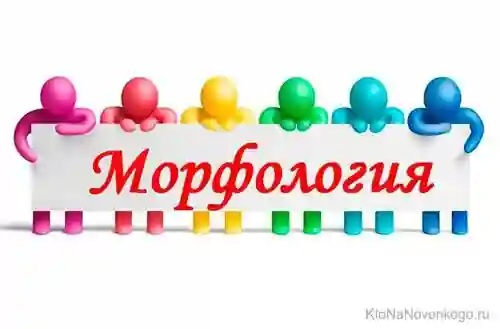 ССЯ