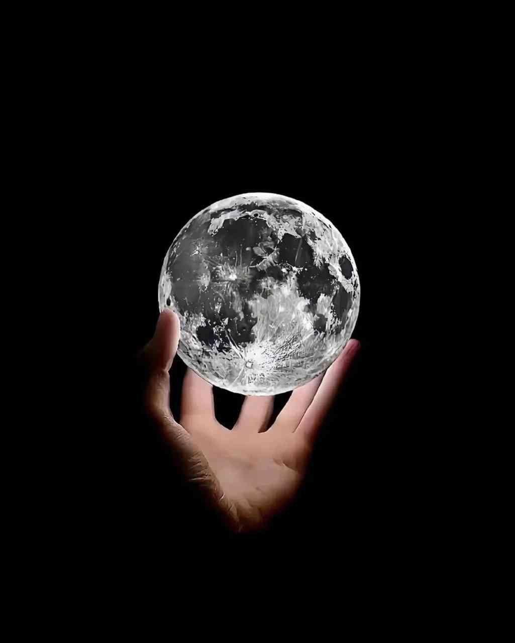 Buyurtmalar uchun t. me/RBK0010