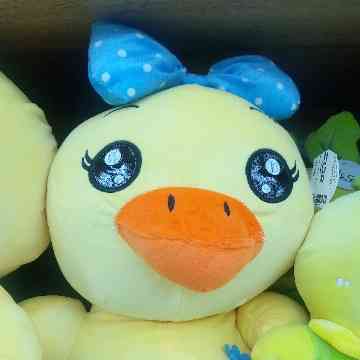 Shaxnoza Kudaybergenova