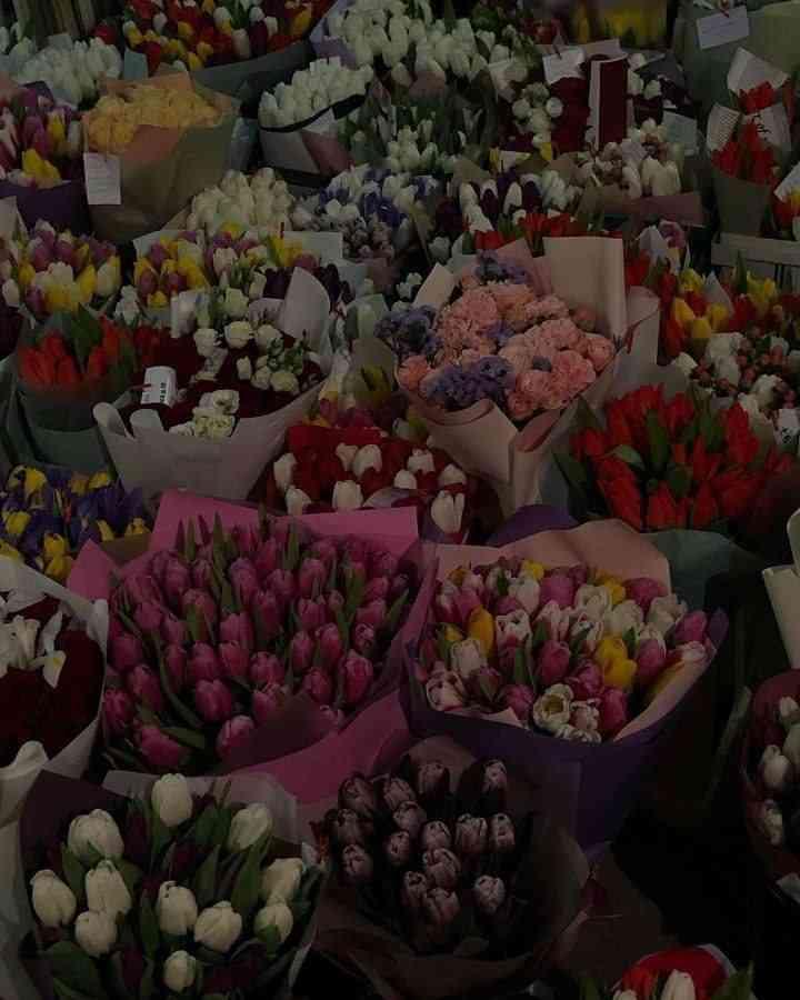 Madina Zafarbekovna 0734