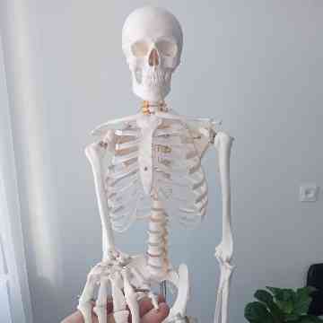 Ilhomjon qizi Karimberdiyeva